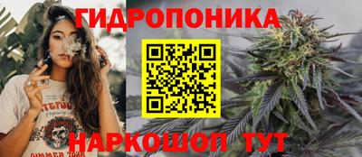 прущие крисы Канаш