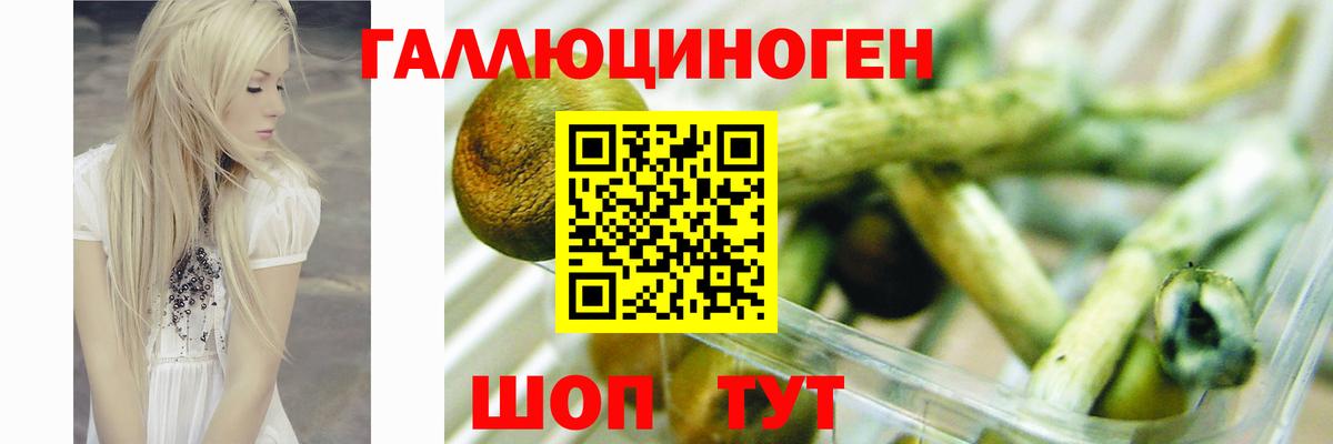 как найти наркотики  Вход с VPN  Кубинка  Псилоцибиновые грибы мухоморы 